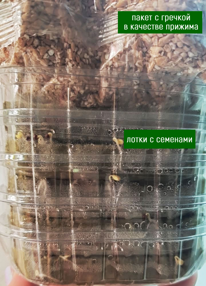 Использование пакета с крупой для прижима