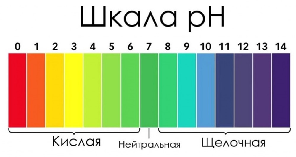 Рисунок 1. Шкала Рн