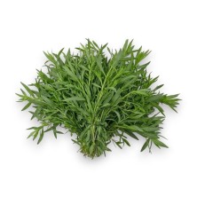 Бархатцы (Tagetes lucida) Мексиканский Эстагон - 1 гр.