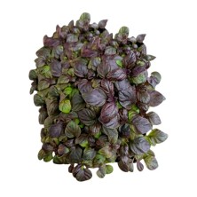 Перилла / Шисо Красный бархат - 500 гр.