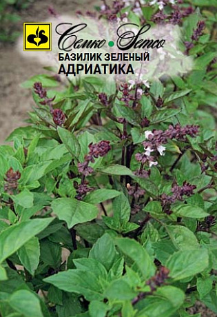 Базилик Адриатика зеленый