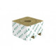 Кубики для рассады SPELAND MID 100x100x65 20/15 - 324 шт.