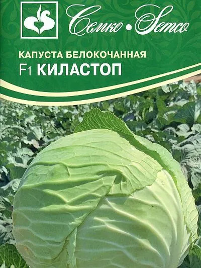Капуста б/к Киластоп F1 (килоустойчивая)