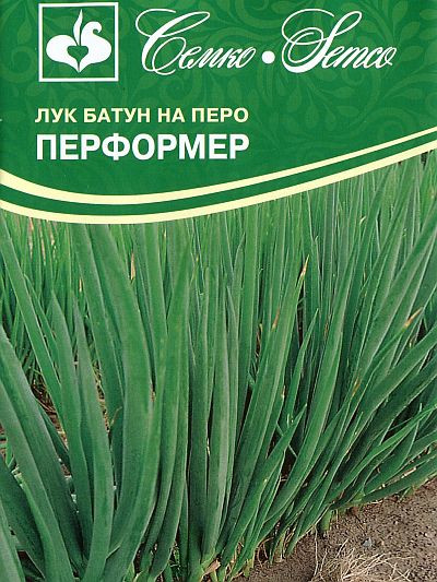 Лук батун Перформер