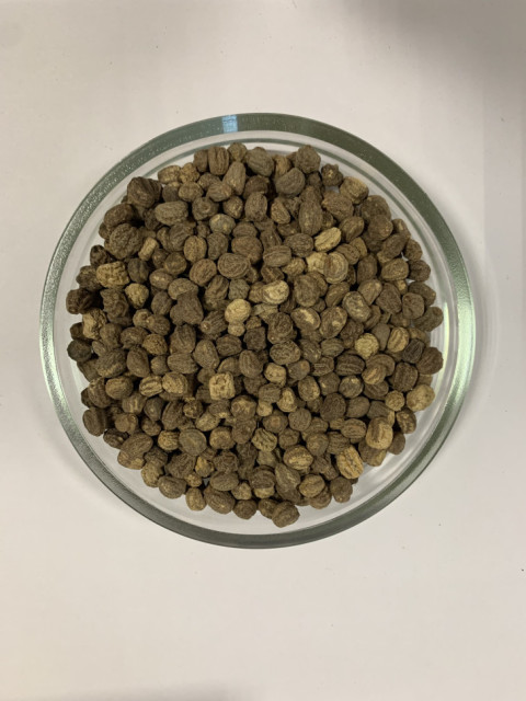 Настурция низкорослая Аляска MIX - 20 гр.