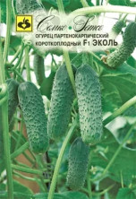 Огурец Эколь F1