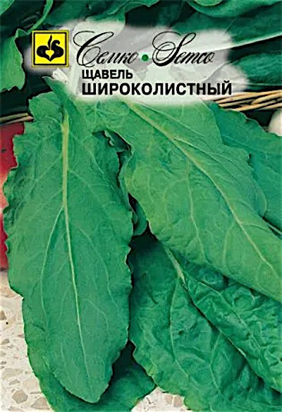 Щавель Широколистный