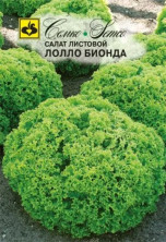 Салат Лолло Бионда
