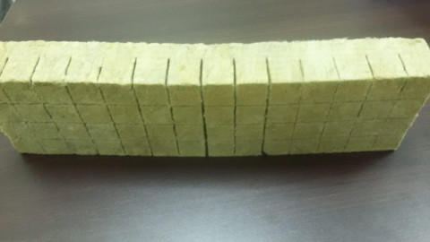 Агровата для выращивания 500x150x60мм на 56 кубиков (кассета) - 1 шт.