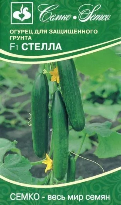 Огурец Стелла F1