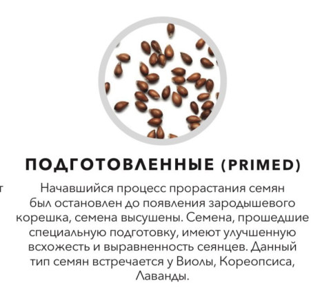 Виола Матрикс Санрайз F1 (PR) - 10 шт.