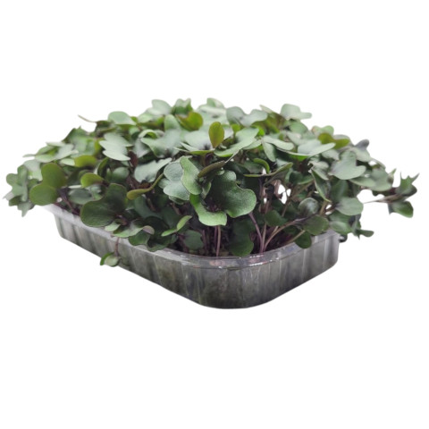 Капуста Красная Краснокочанная - 500 гр.