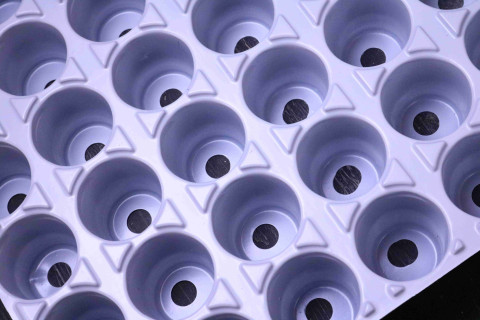 Кассета для рассады 48 ячейки (530x400, ч/б) - 1 шт.