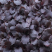 Горчица Карпед Ред (Carpet Red) бэби лиф - 300 гр.