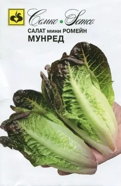 Салат мини ромейн Мунред