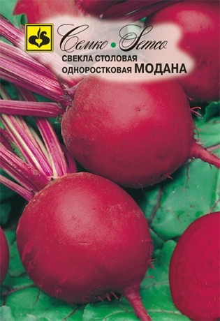 Свекла Модана