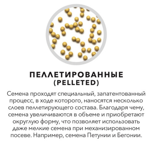 Гвоздика китайская Коронет строберри (PL) - 10 шт.
