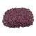 Горчица красная Red Lace (Ред Лэйс) на микрозелень - 3 кг.