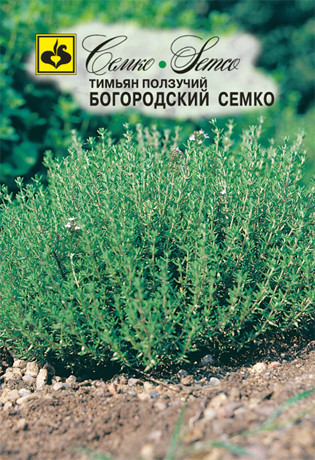 Тимьян Богородский