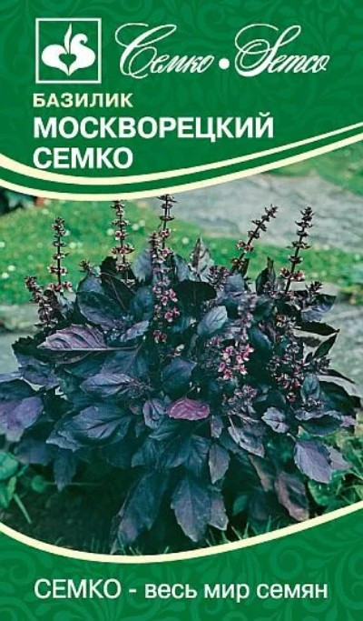 Базилик Москворецкий Семко