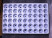 Кассета для рассады 54 ячейки (600х400, ч/б)