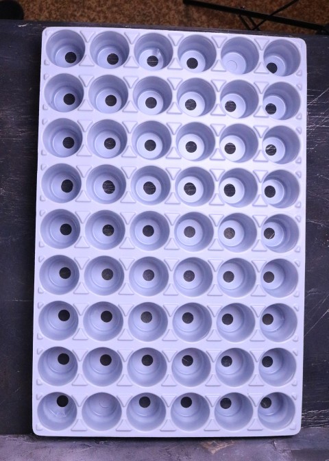 Кассета для рассады 54 ячейки (600х400, ч/б)